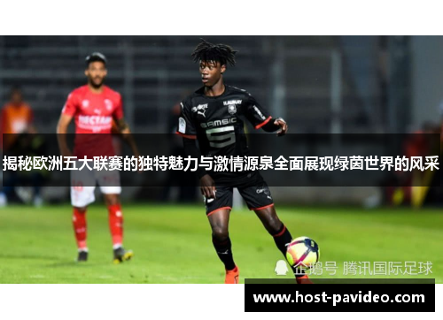 揭秘欧洲五大联赛的独特魅力与激情源泉全面展现绿茵世界的风采