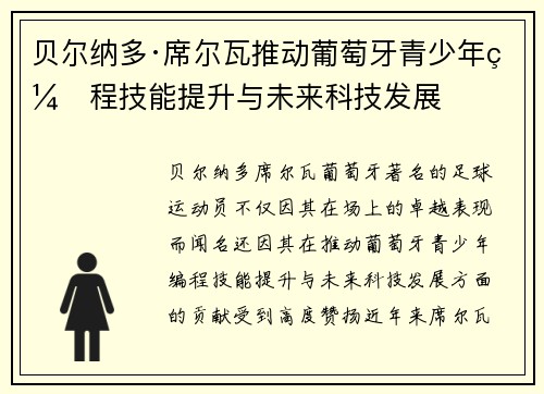 贝尔纳多·席尔瓦推动葡萄牙青少年编程技能提升与未来科技发展