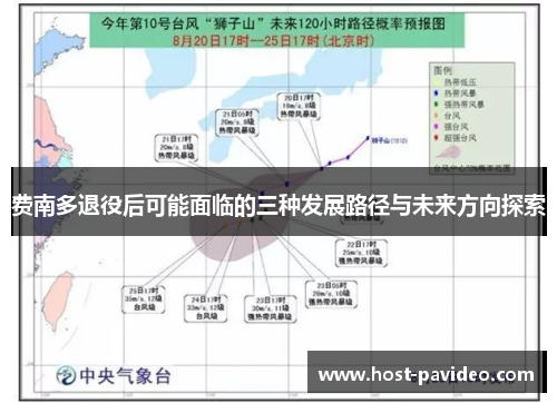 费南多退役后可能面临的三种发展路径与未来方向探索