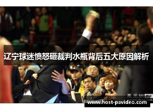 辽宁球迷愤怒砸裁判水瓶背后五大原因解析