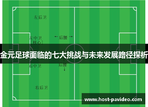 金元足球面临的七大挑战与未来发展路径探析